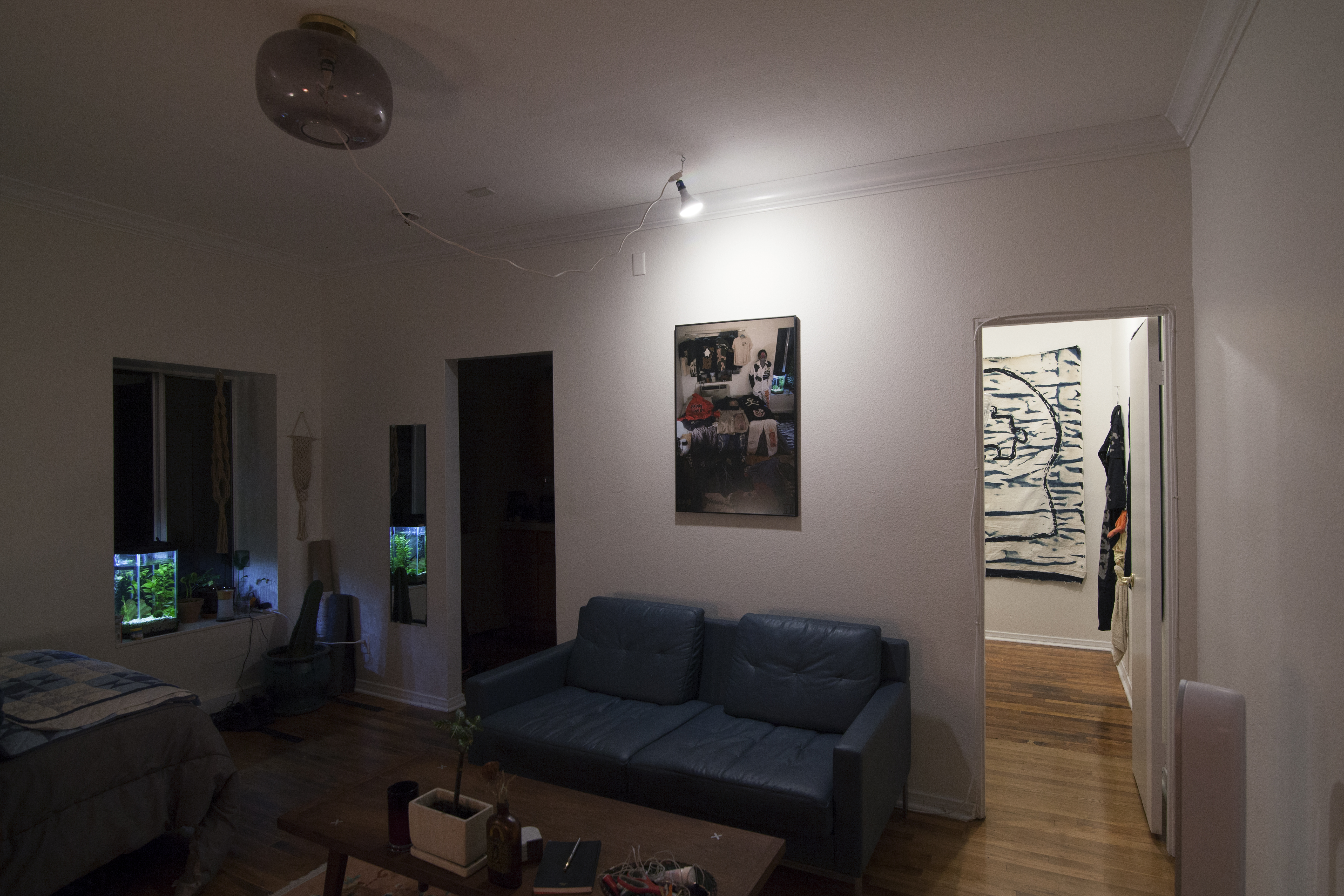 Photo of a living room with a large photo print lit from above hung over a couch